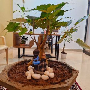 WhatsApp Image 2025-08-08 at 7.32.28 AM