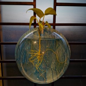 WhatsApp Image 2025-08-08 at 7.32.29 AM (1)